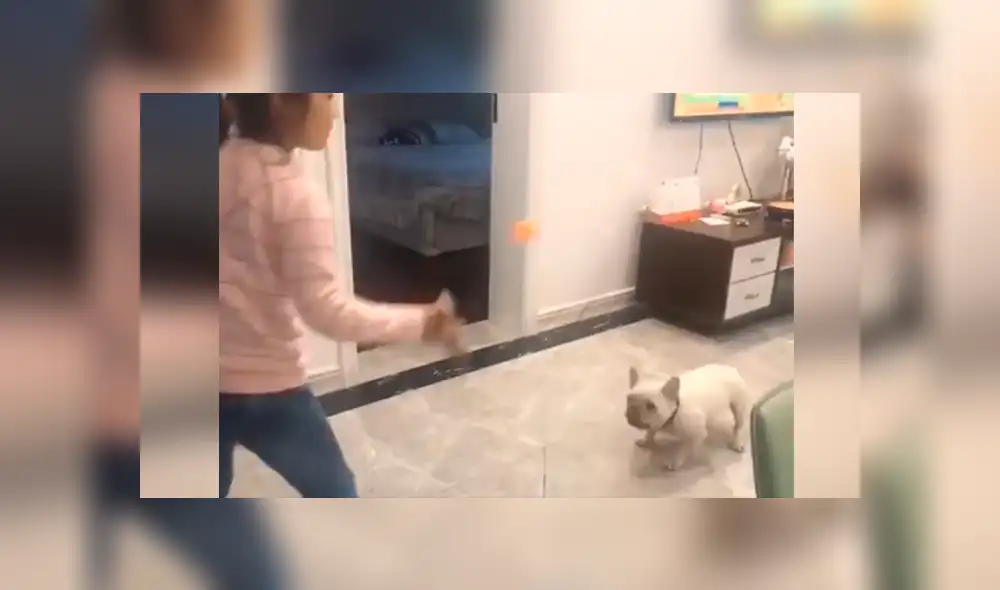 Desliza las imágenes para conocer el amoroso momento entre una niña junto a su adorable mascota. Foto: Captura. Desliza las imágenes para conocer el amoroso momento entre una niña junto a su adorable mascota. Foto: Captura.