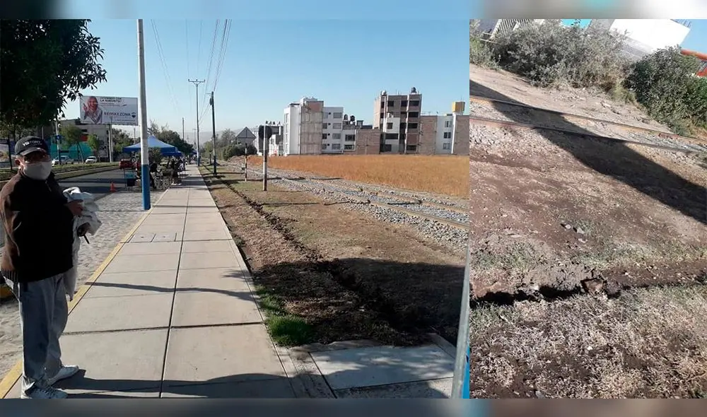 Árboles fueron retirados de la avenida Metropolitana por inescrupulosos sujetos. Foto: Municipalidad de Yanahuara. Árboles fueron retirados de la avenida Metropolitana por inescrupulosos sujetos. Foto: Municipalidad de Yanahuara.
