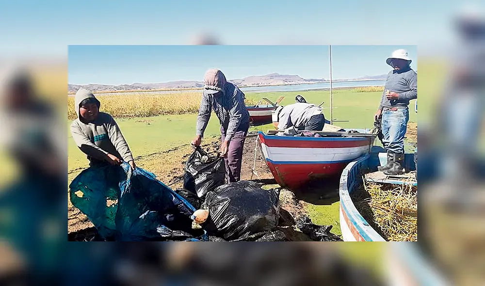 Acciones en puno. Se busca que el lago Titicaca pueda recuperar su flora y fauna.