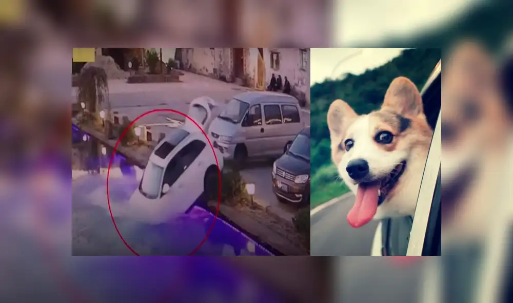 Desliza para ver el desenlace de este video viral de Facebook. Foto: Captura. Desliza para ver el desenlace de este video viral de Facebook. Foto: Captura.