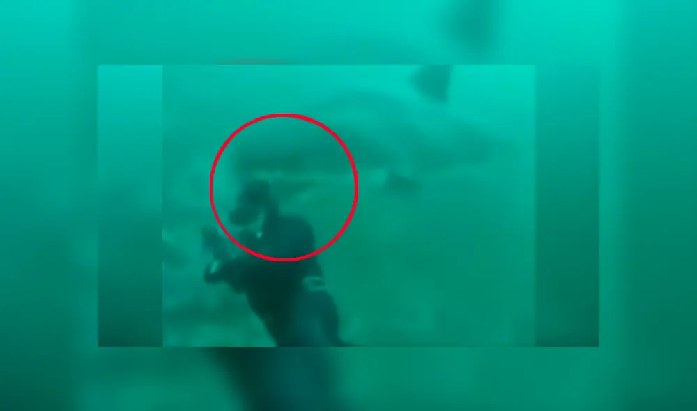 Un buzo pasó el susto de su vida tras lograr salvarse del feroz ataque de un enorme tiburón cuando realizaba una expedición en Sudáfrica.