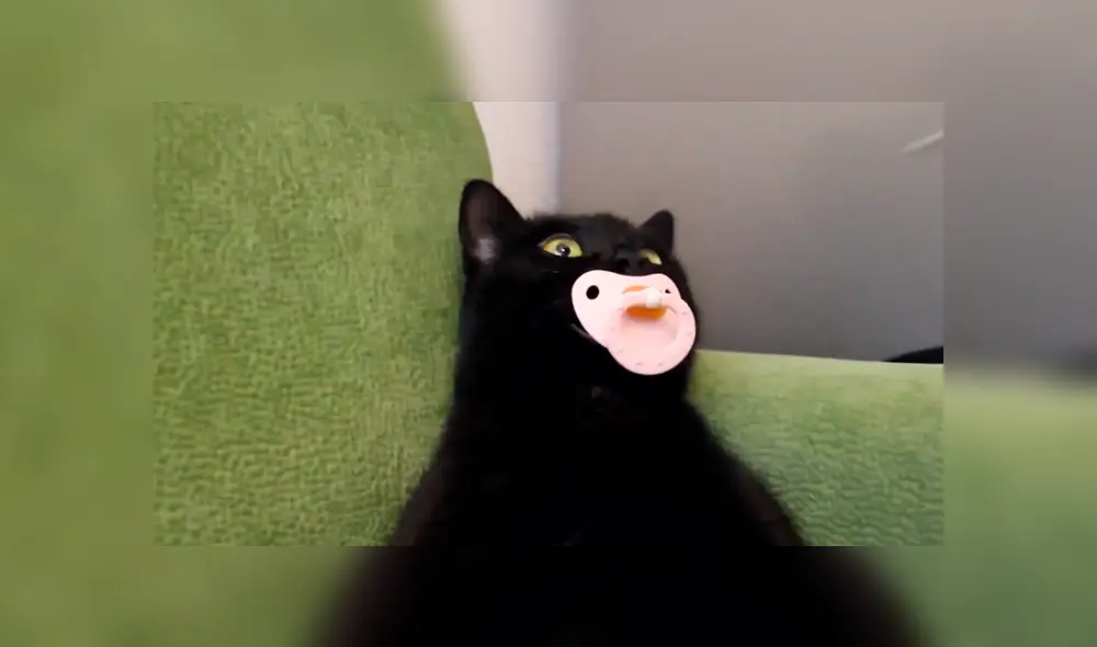 Desliza para ver el comportamiento que ha conmovido a los usuario de YouTube. Foto: Captura.