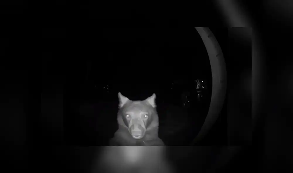 Desliza hacia la izquierda para ver las imágenes del viral de YouTube. Foto: Captura.