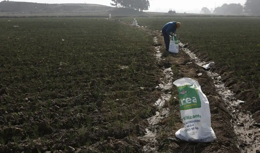 La entrega de los abonos se realizará mediante el empadronamiento de productores agrarios. Foto: Marco Cotrina/La República