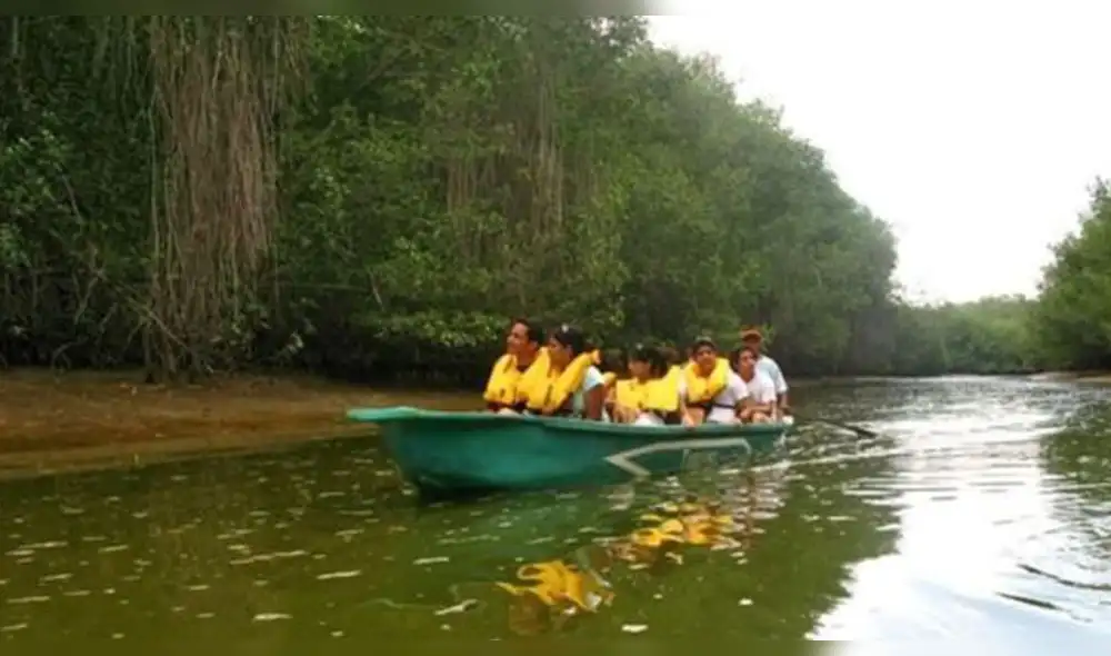 de todos comercios solo 80 fueron beneficiados con el bono del Fondo de Apoyo Empresarial de todos comercios solo 80 fueron beneficiados con el bono del Fondo de Apoyo Empresarial