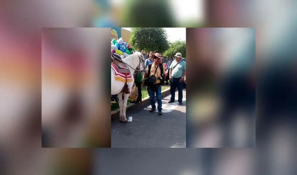 Denuncian a cuidador de caballo porque este se encontraba bajo el sol. Créditos: Facebook. Denuncian a cuidador de caballo porque este se encontraba bajo el sol. Créditos: Facebook.