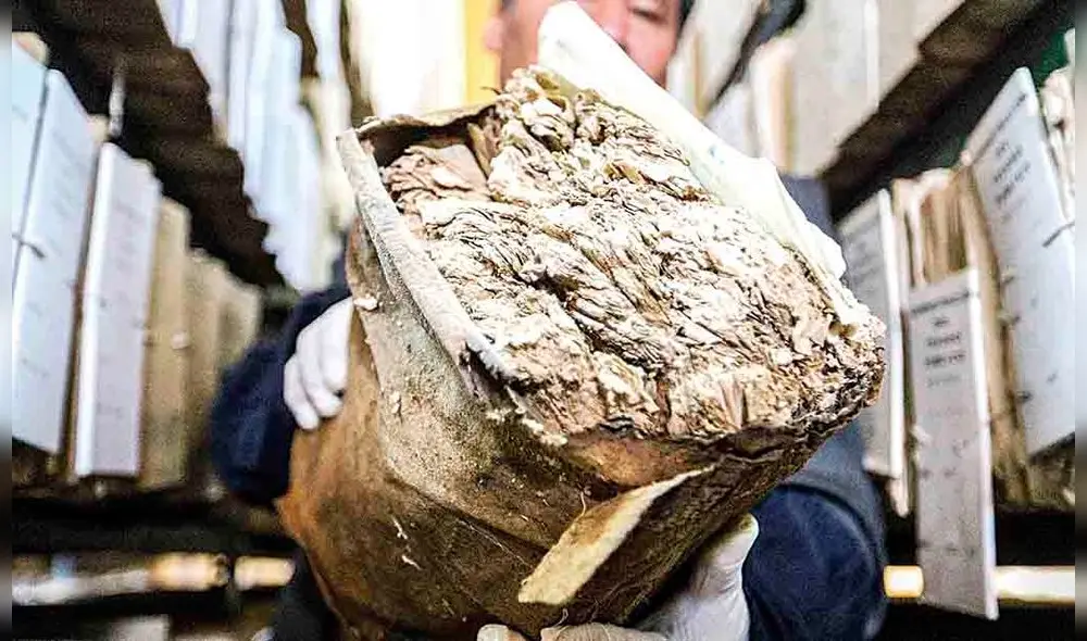 daños. Documentos históricos son afectados por hongos, microorganismos y humedad.