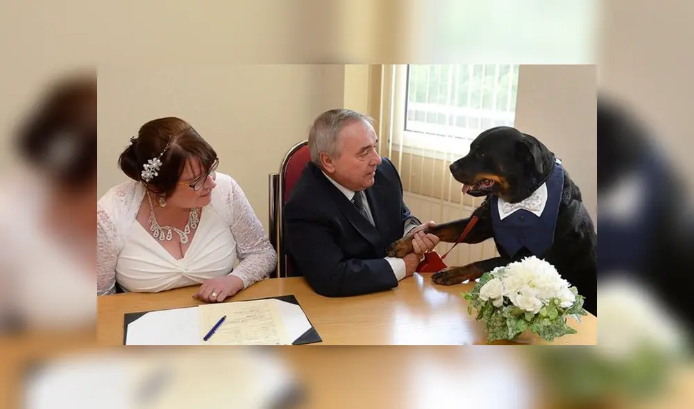 Rottweiler interrumpe boda. Rottweiler interrumpe boda.