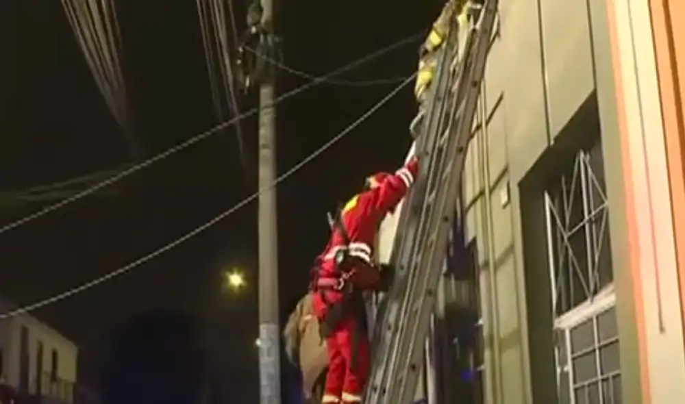 Bomberos en pleno rescate luego del derrumbe de una casa en La Victoria. Captura: Panamericana TV Bomberos en pleno rescate luego del derrumbe de una casa en La Victoria. Captura: Panamericana TV