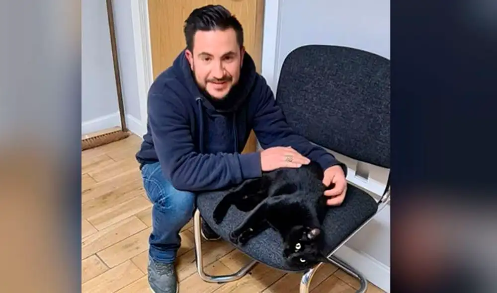 La felina habìa desaparecido en abril de 2018 cerca a una parada de camiones. Foto: Cats Protection