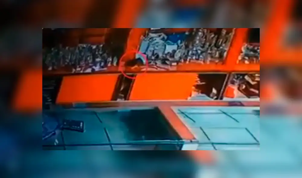 Facebook viral: rata 'ladrona' se instala en lujosa tienda de joyería y se lleva diamantes [VIDEO]