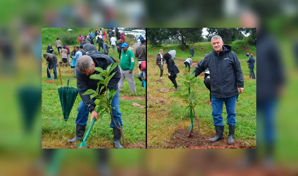Etiopía siembra más de 350 millones de árboles en campaña nacional. Foto: Twitter/@UKinEthiopia Etiopía siembra más de 350 millones de árboles en campaña nacional. Foto: Twitter/@UKinEthiopia