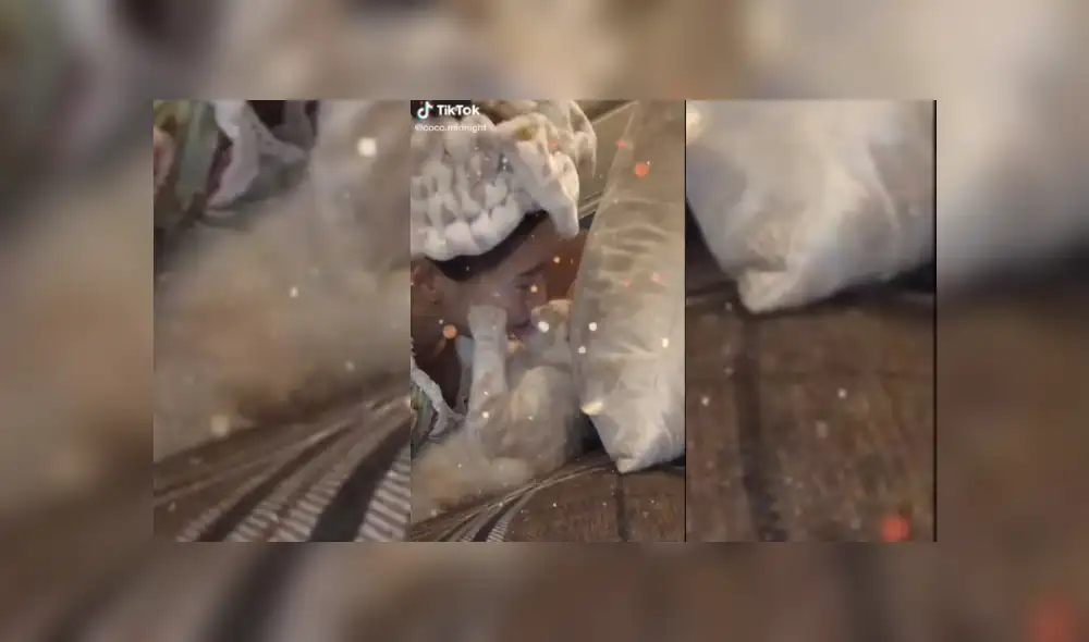 Video es viral en TikTok. Mujer registró la cariñosa reacción que tuvo su gato cuando intentaba tomarse una fotografía. Video es viral en TikTok. Mujer registró la cariñosa reacción que tuvo su gato cuando intentaba tomarse una fotografía.