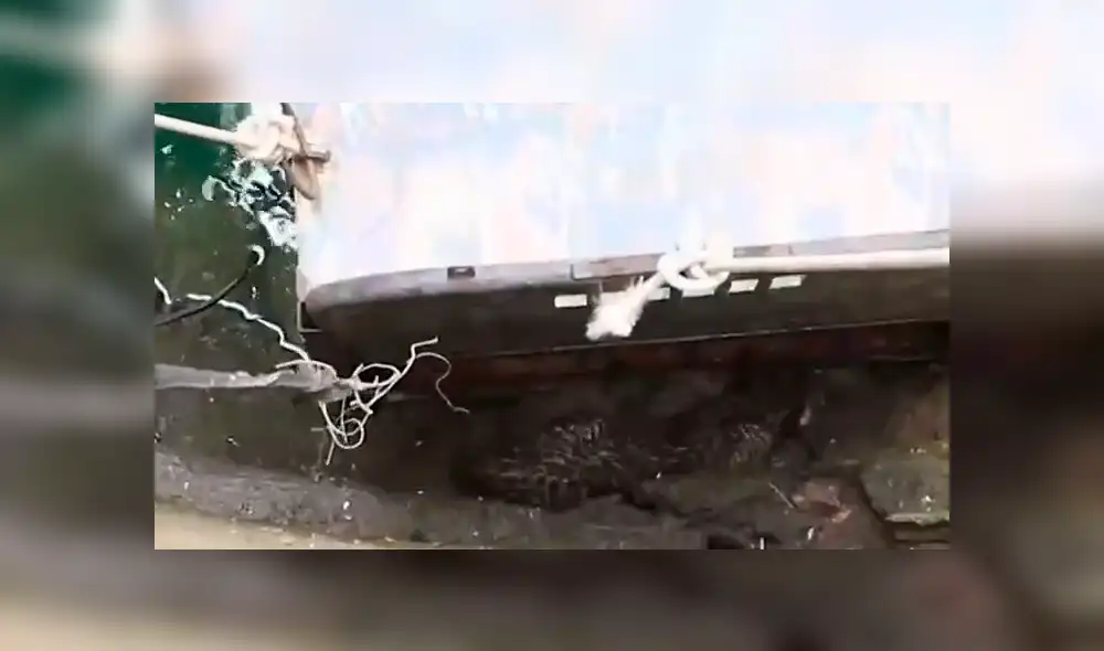 YouTube viral: peligrosa criatura aparece en misterioso pozo y pobladores quedan en shock [VIDEO]