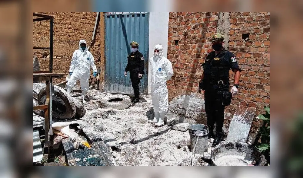 Criadero de cerdos Criadero de cerdos