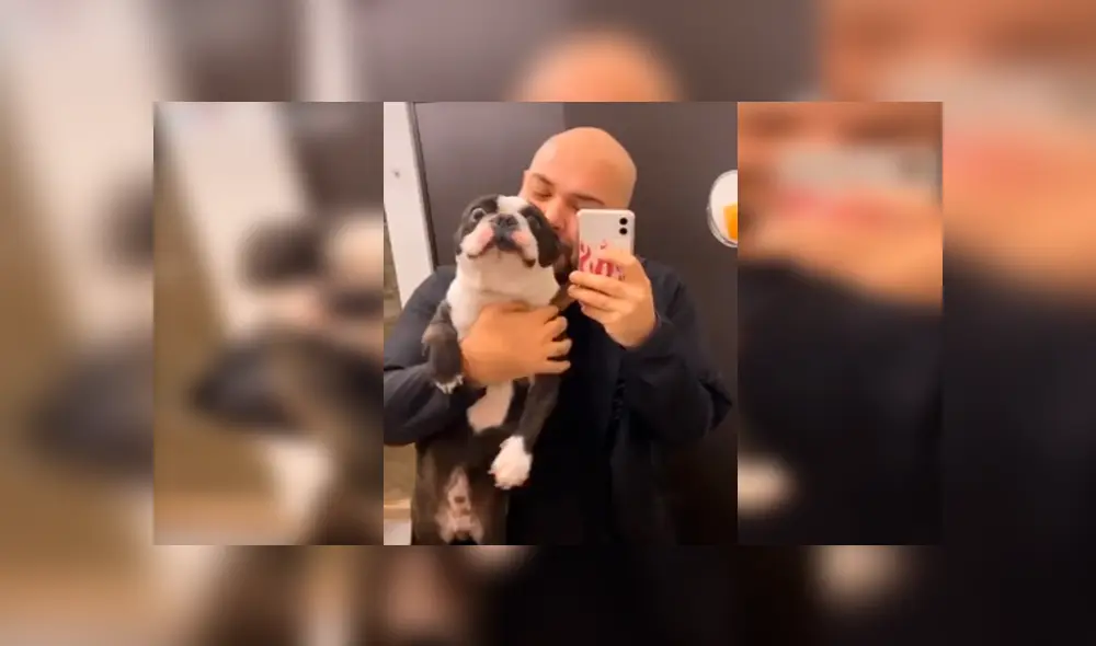 Desliza las imágenes hacia la izquierda para observar el emotivo comportamiento de un perro cuando escucha a su dueño.