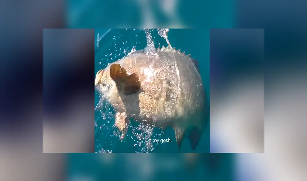 Desliza para ver los momentos más impactantes del aterrador video que se hizo viral en Facebook.