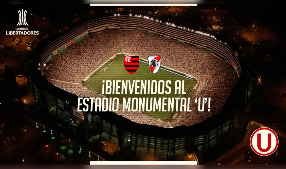 Copa Libertadores 2019: prensa extranjera destaca planta que nació en butaca del estadio Monumental.
