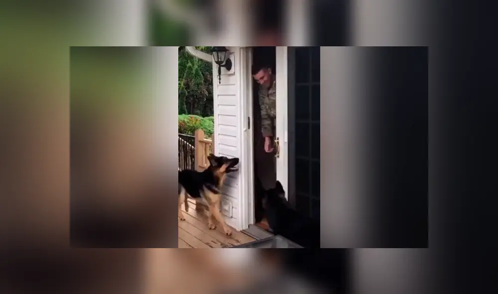 Desliza para ver todas las imágenes de Facebook. Foto: captura Desliza para ver todas las imágenes de Facebook. Foto: captura