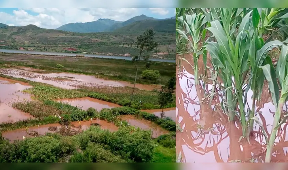 Cerca de 20 hectáreas de cultivo están inundadas. Cerca de 20 hectáreas de cultivo están inundadas.