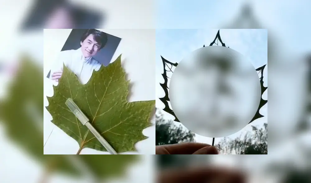 El resultado dejó impactados a miles de usuarios en las redes sociales. Foto: captura El resultado dejó impactados a miles de usuarios en las redes sociales. Foto: captura