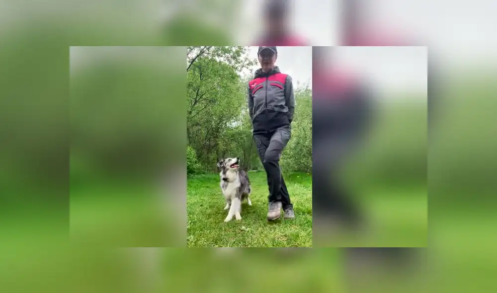 Desliza las imágenes para ver la peculiar sorpresa que se llevó una mujer al revisar el teléfono de su madre  verla bailar junto a su perro. Foto: TikTok