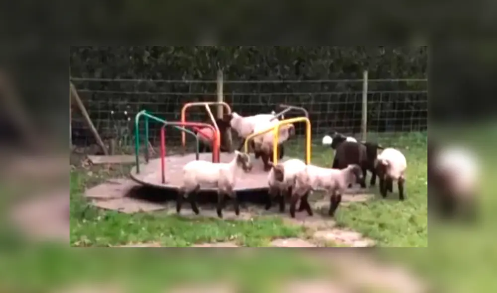 Desliza hacia la izquierda para verlas imágenes del viral de Facebook.