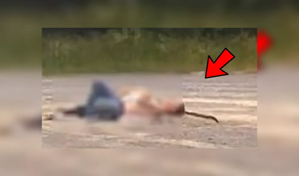 El agente policial los tuvo que despertar para advertirles del terror que los acechaba. Foto: captura El agente policial los tuvo que despertar para advertirles del terror que los acechaba. Foto: captura