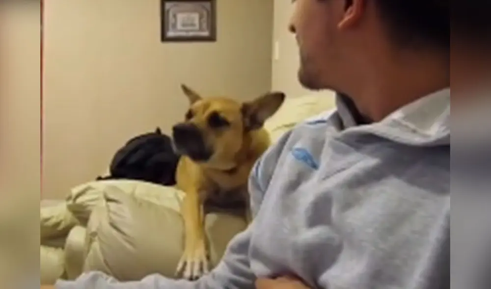 Desliza las imágenes para ver más detalles sobre esta entretenida 'conversación' entre un perro y su amo. Foto: captura de TikTok Desliza las imágenes para ver más detalles sobre esta entretenida 'conversación' entre un perro y su amo. Foto: captura de TikTok