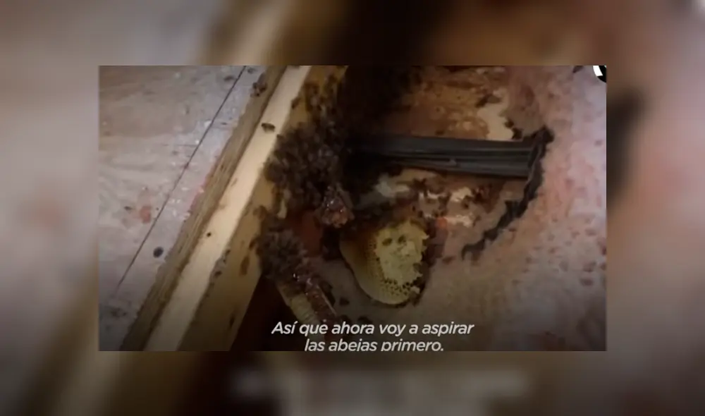 Desliza hacia la izquierda para ver las imágenes del viral de Facebook. Foto: Captura. Desliza hacia la izquierda para ver las imágenes del viral de Facebook. Foto: Captura.