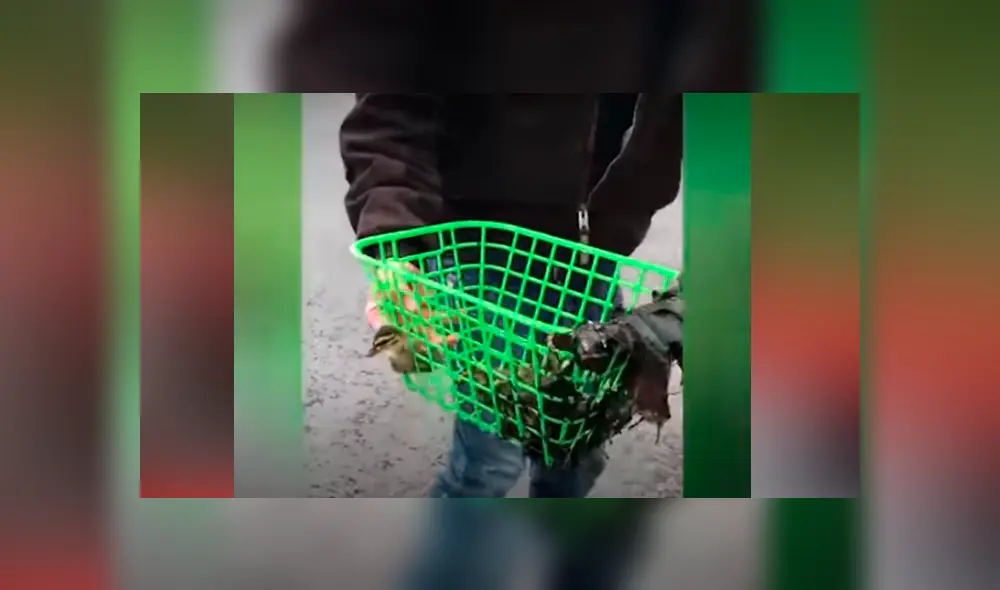 Desliza hacia la izquierda para ver el conmovedor rescate que se volvió viral en Facebook. Desliza hacia la izquierda para ver el conmovedor rescate que se volvió viral en Facebook.