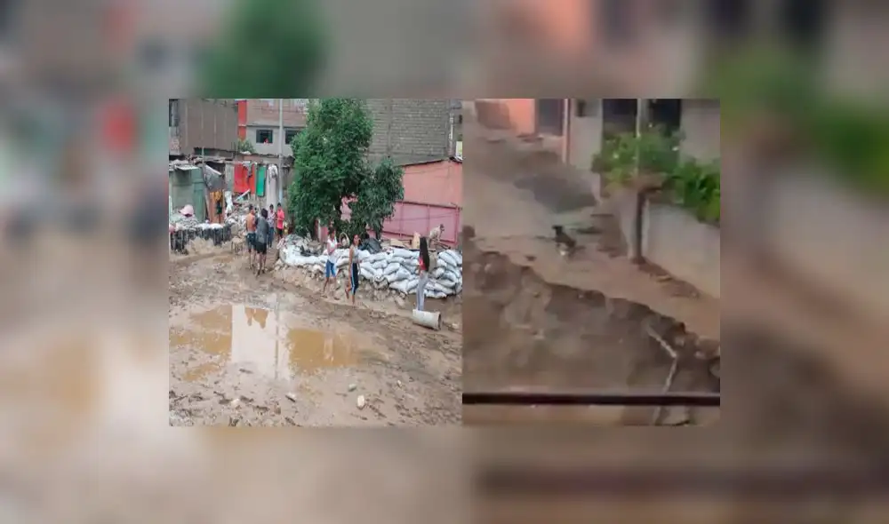 Huaicos en Lima: El instante en que un perro es arrastrado por el lodo | VIDEO Huaicos en Lima: El instante en que un perro es arrastrado por el lodo | VIDEO