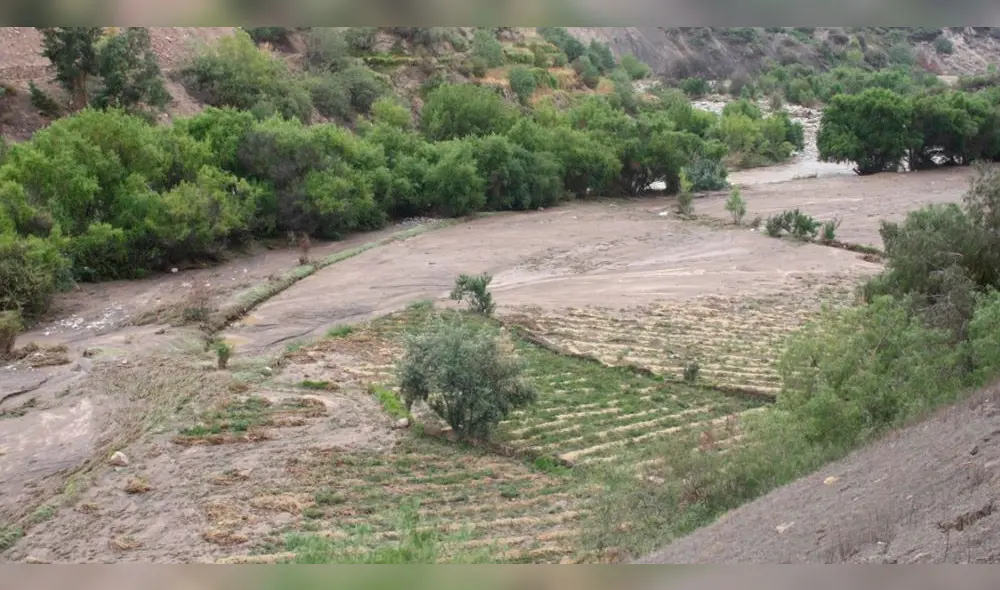 Desborde del río Yura daña cerca de 300 hectáreas de cultivo.
