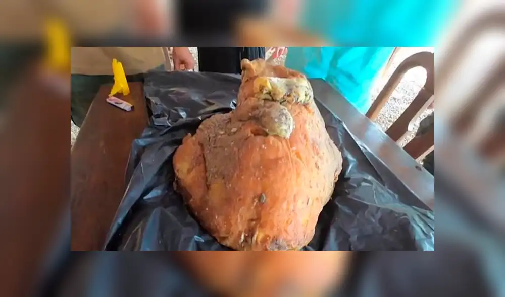 El hombre desconocía que lo que había encontrado en el mar valía más de 300 mil dólares. Foto: captura El hombre desconocía que lo que había encontrado en el mar valía más de 300 mil dólares. Foto: captura