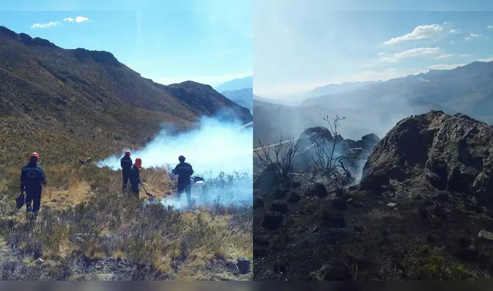 Arequipa: nuevo incendio forestal en Caylloma genera preocupación Arequipa: nuevo incendio forestal en Caylloma genera preocupación