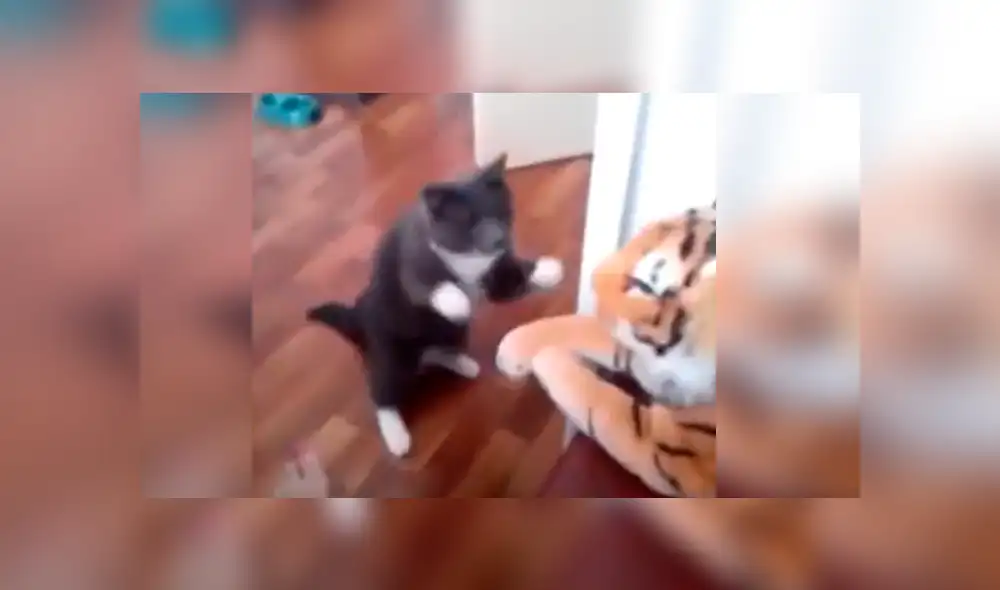 Desliza para ver detalles del video viral de Facebook. Foto: Captura. Desliza para ver detalles del video viral de Facebook. Foto: Captura.