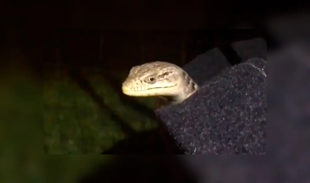 Desliza la imagen de Facebook para verlas todas. Desliza la imagen de Facebook para verlas todas.