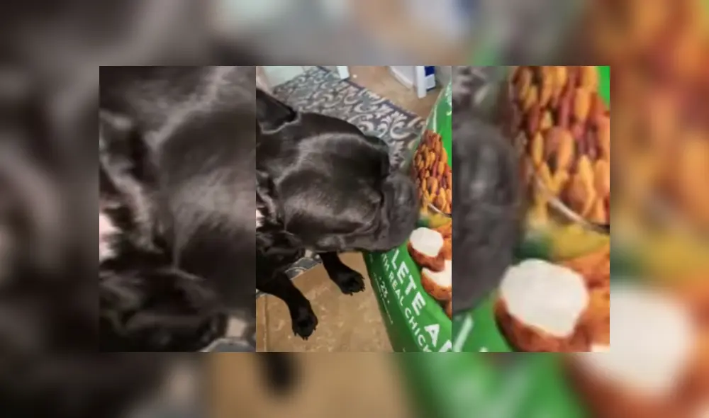 Desliza hacia la izquierda para ver más del video viral