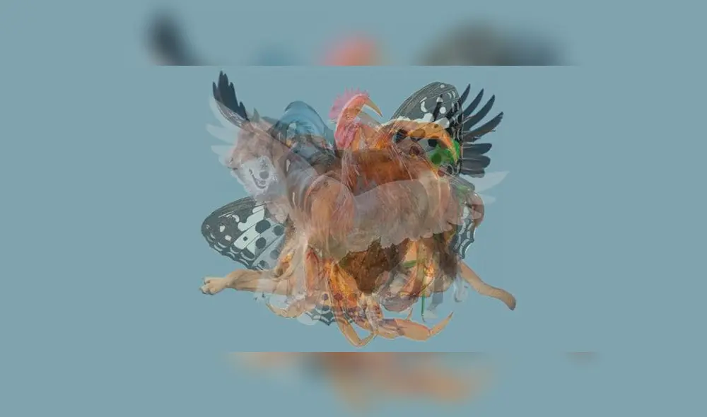 Desliza la imagen de Facebook para verlas todas. Desliza la imagen de Facebook para verlas todas.