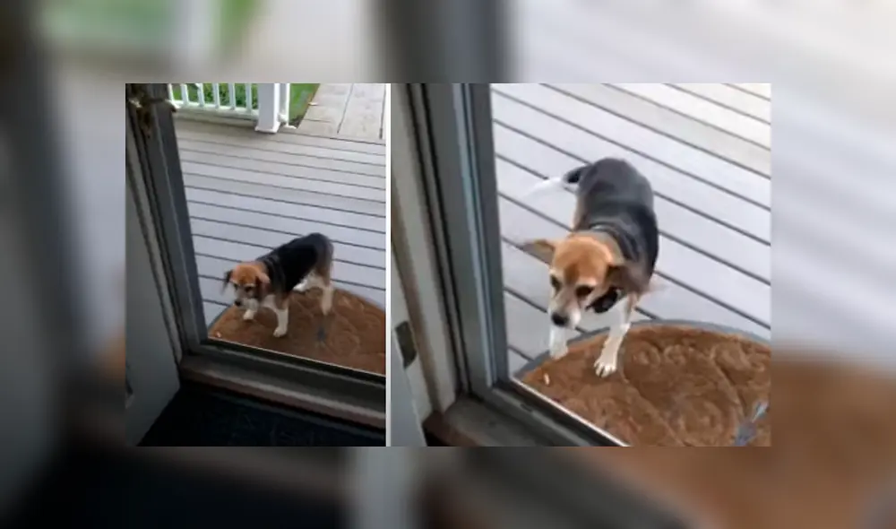 Desliza hacia la izquierda para ver las imágenes del viral de YouTube. Desliza hacia la izquierda para ver las imágenes del viral de YouTube.