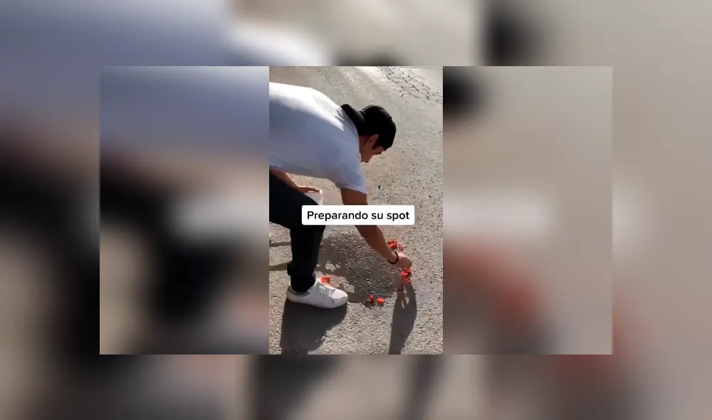 Desliza las imágenes para conocer el resultado final de la improvisada sesión que realizó un joven con su perro. Foto: Captura. Desliza las imágenes para conocer el resultado final de la improvisada sesión que realizó un joven con su perro. Foto: Captura.