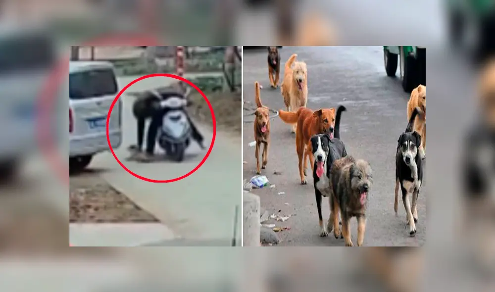 El sujeto mataba a sus víctimas con dardos envenenados que había conseguido en Internet. El hecho ocurrió en China. (Foto: Composición)