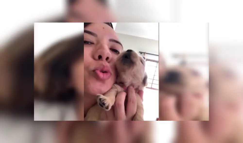 En Facebook, un cachorro de 19 días de nacido imitó los sonidos que realizó su dueña y cautivó con el resultado. En Facebook, un cachorro de 19 días de nacido imitó los sonidos que realizó su dueña y cautivó con el resultado.