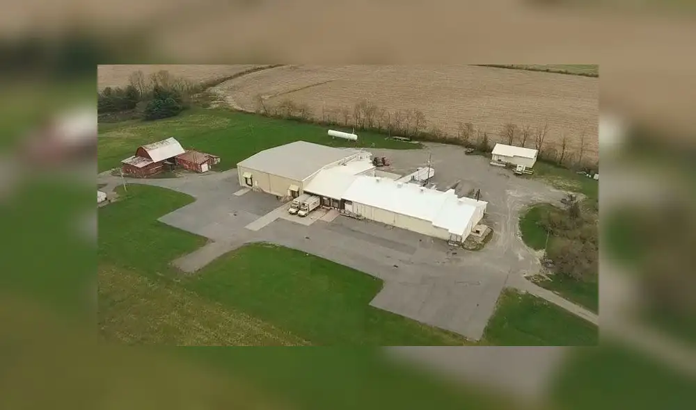 Mujer muere al caer accidentalmente a una máquina trituradora de carne [VIDEO]