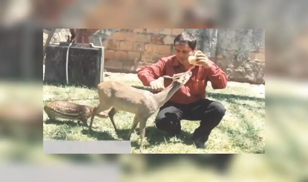 Días antes de su deceso, su esposa había solicitado un cama con ventilador para él. (Foto: Captura de video / TV Perú) Días antes de su deceso, su esposa había solicitado un cama con ventilador para él. (Foto: Captura de video / TV Perú)
