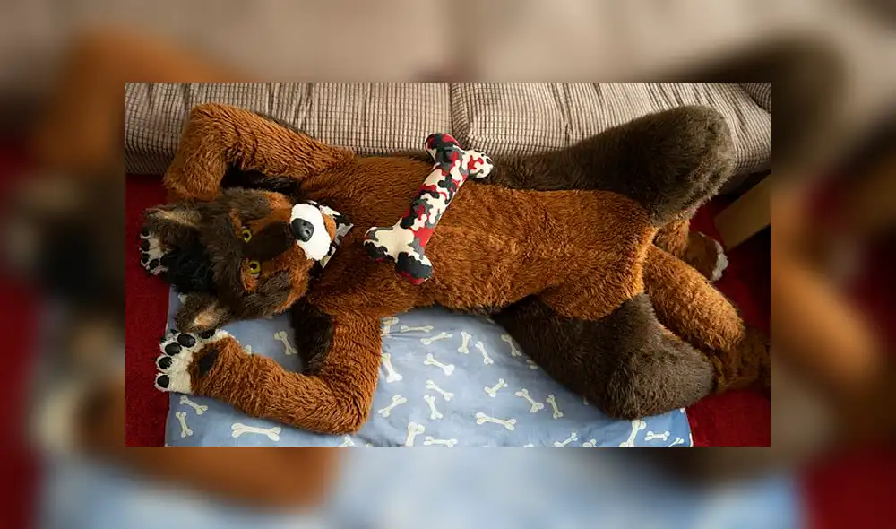 El insólito caso del hombre que se cree perro: come, ladra, y muerde a quien se le acerque El insólito caso del hombre que se cree perro: come, ladra, y muerde a quien se le acerque