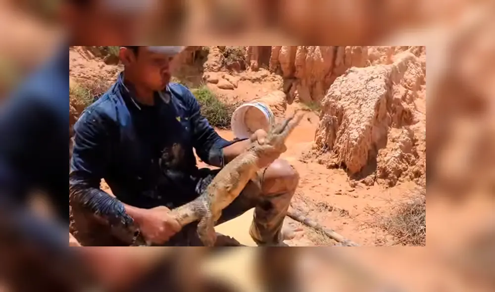 Desliza hacia la izquierda para ver el experimento que se viralizó en YouTube.