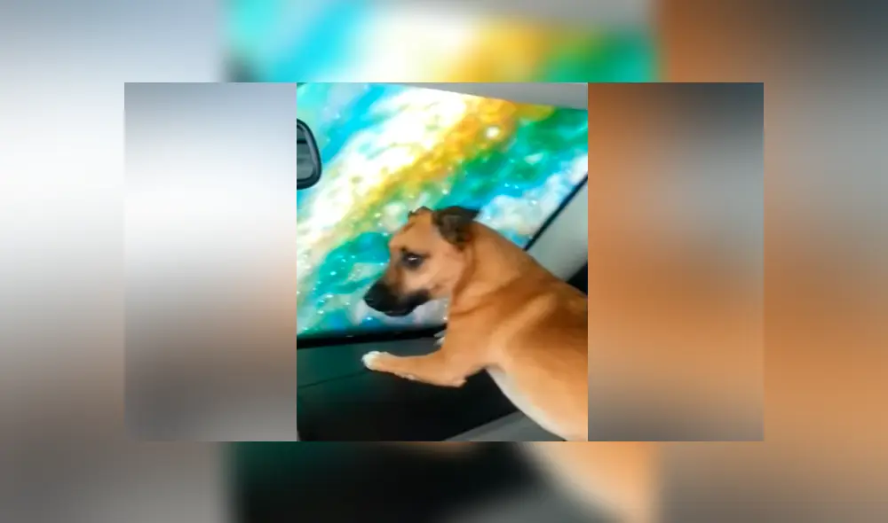 Desliza para ver los momentos más divertidos del video que se hizo viral en YouTube. Desliza para ver los momentos más divertidos del video que se hizo viral en YouTube.