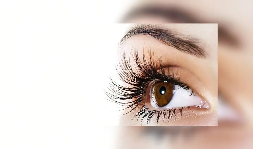 Las pestañas tienen la función de prevenir infecciones a los ojos. Foto: EFE Las pestañas tienen la función de prevenir infecciones a los ojos. Foto: EFE