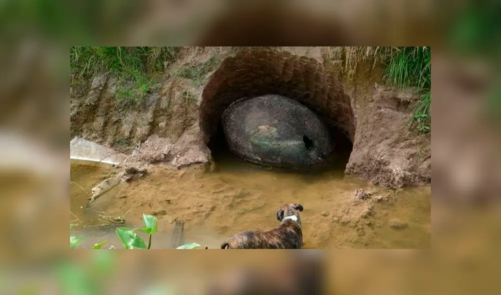 Desliza para ver más detalles de esta historia que se viralizó en Facebook. Foto: Captura. Desliza para ver más detalles de esta historia que se viralizó en Facebook. Foto: Captura.